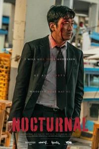  شبانه  Poster
