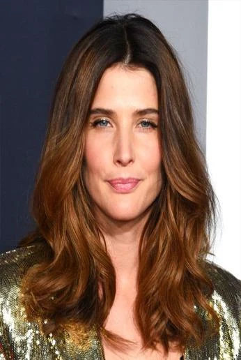 Cobie Smulders