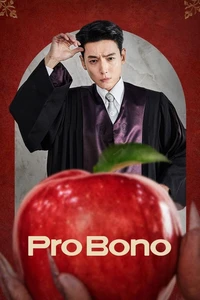 وکیل مردم Poster